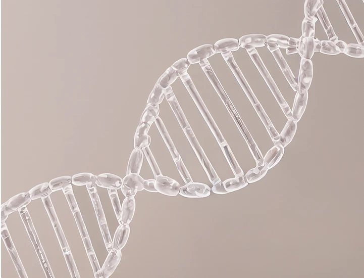 Vitality Nutritionals